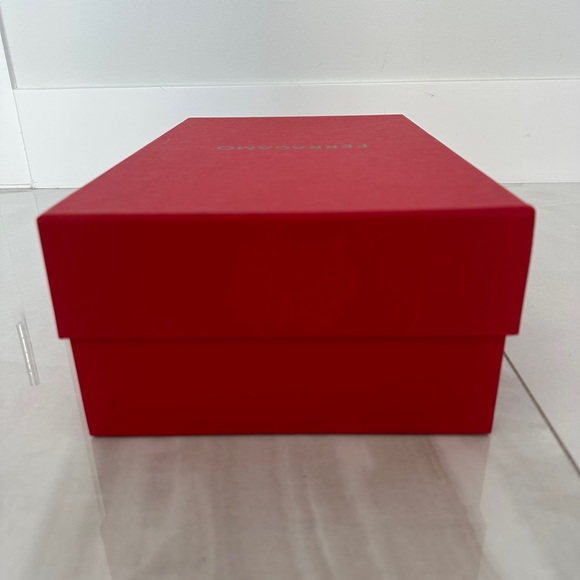 Salvatore Ferragamo Tall Shopping Bag Shoebox and 2 New Dust Bags PRICED TO SELL - Picture 6 of 15